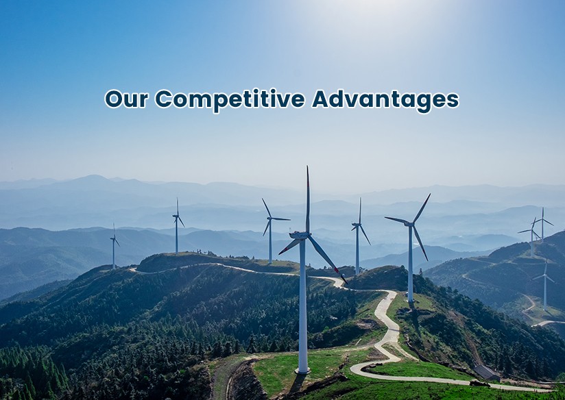 Our Competitive Advantages